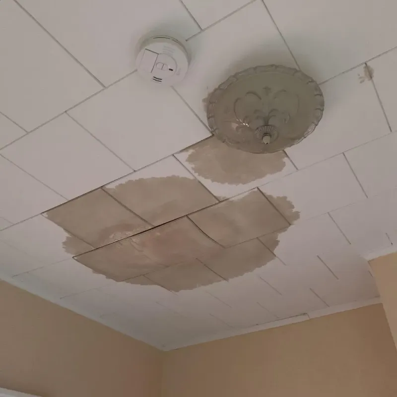 Ceiling Water Damage Repair in Garrison, MD
